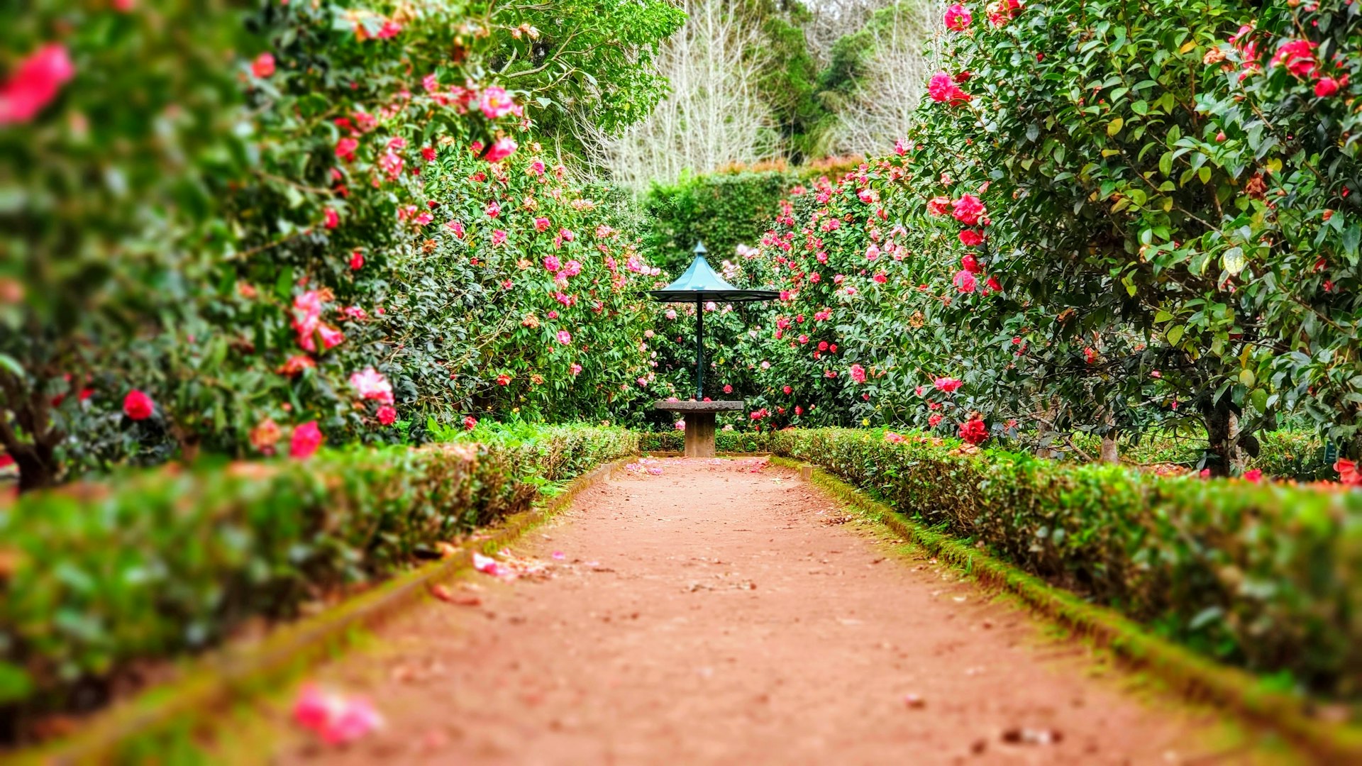 Beautiful landscaped garden path